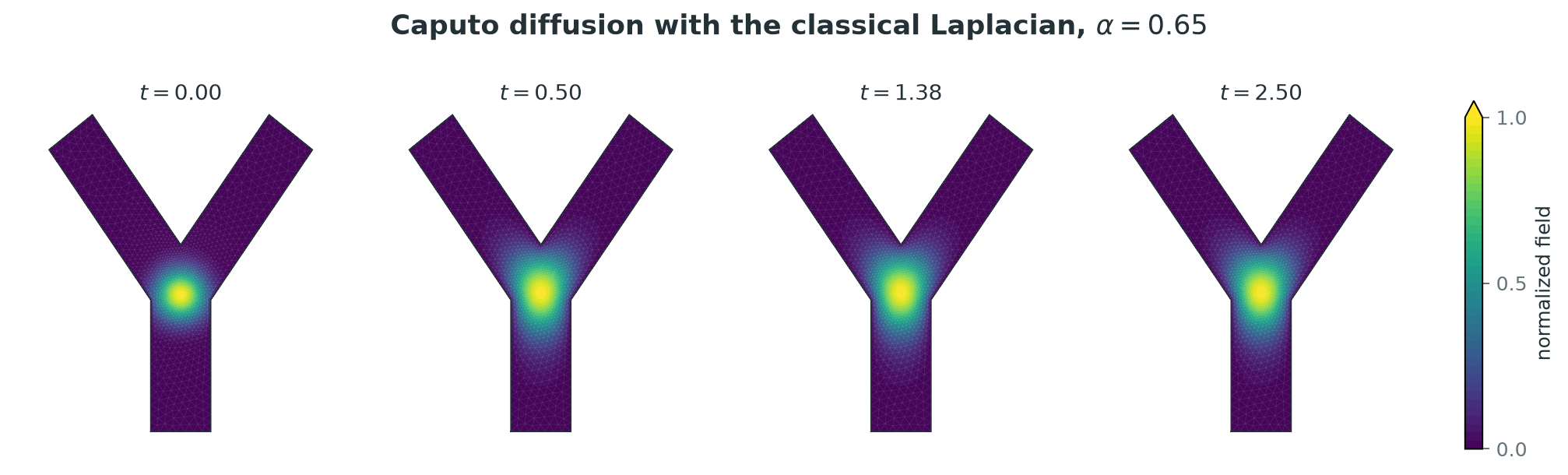 Four snapshots of time-fractional diffusion on a Y-shaped two-dimensional domain