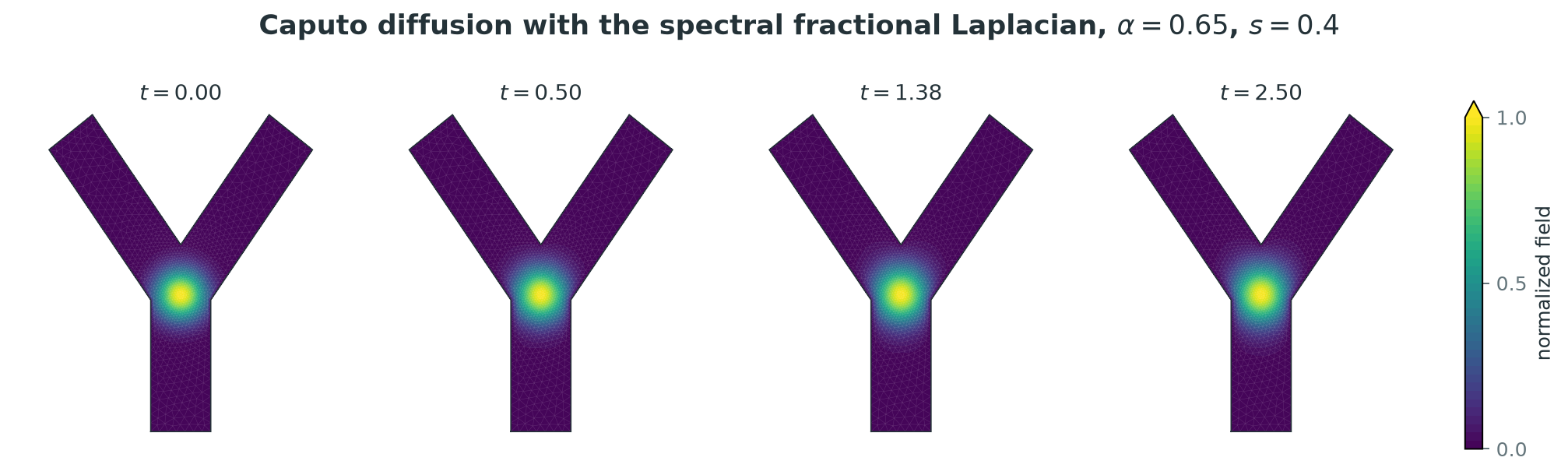 Four snapshots of a time and space fractional diffusion equation on a Y-shaped domain